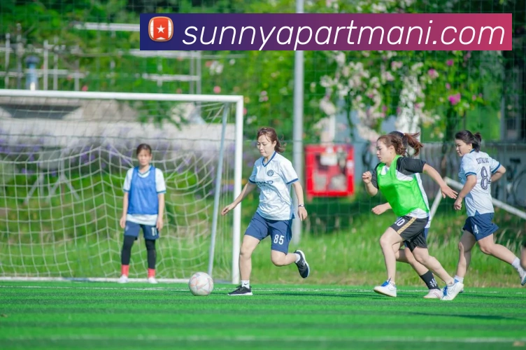 c7官网发展历程